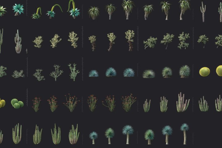 Maxtree仙人掌芦荟喙状丝兰龙舌兰等沙漠植物3D模型Plant Models Vol 138-喵星资源网