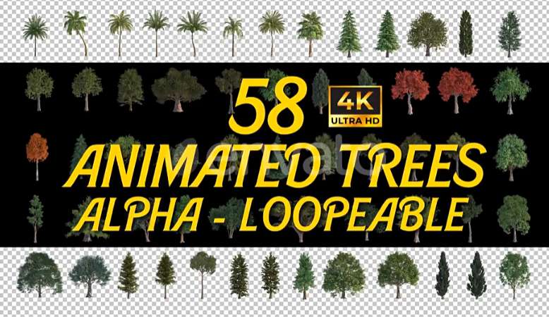 AE模板 58个植物树木循环动画视频素材 Animated Trees Alpha Loop Pack 4K-喵星资源网