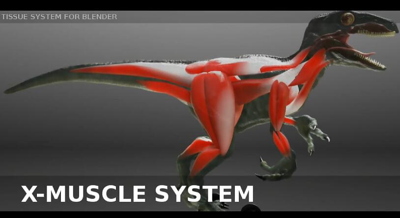 Blender插件 肌肉系统模拟工具 X-Muscle System 4.0-喵星资源网