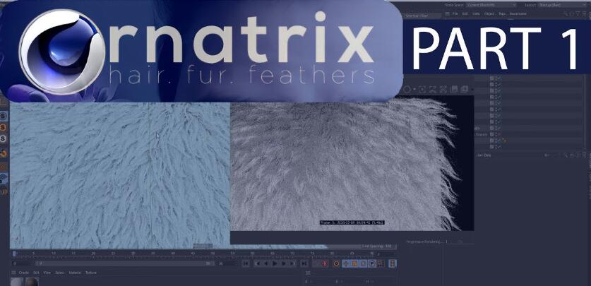 C4D制作头发羽毛专业级插件Ephere Ornatrix v2.4.0.32507 Win-喵星资源网