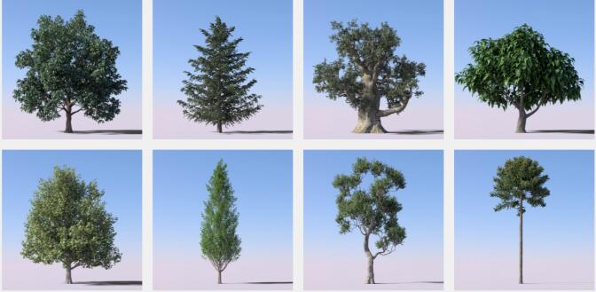 Forester v1.5.4 自然生长动画C4D插件-喵星资源网